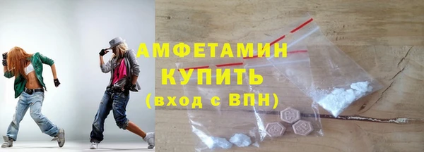 стаф Алексин