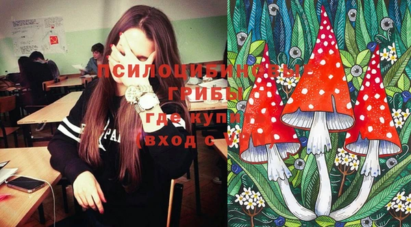 марки lsd Алексеевка