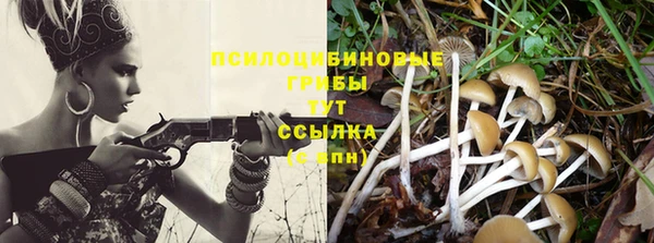 стаф Алексин