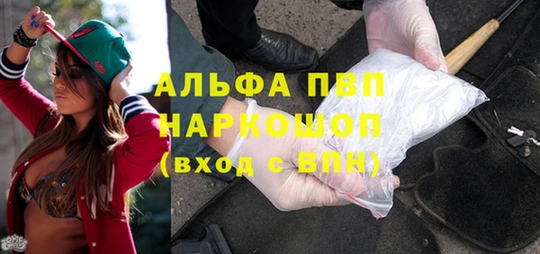 стаф Алексин